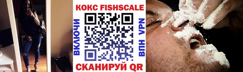 hydra как зайти  Владивосток  КОКАИН Fish Scale 