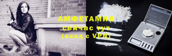 ПСИЛОЦИБИНОВЫЕ ГРИБЫ Алзамай