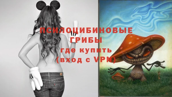 ПСИЛОЦИБИНОВЫЕ ГРИБЫ Алзамай